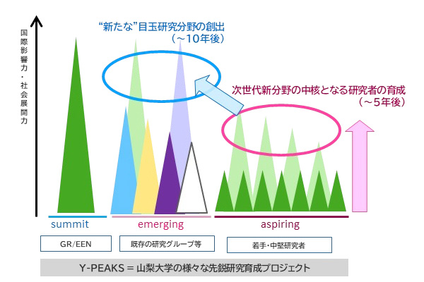 次世代中核研究者育成プロジェクト (Y-PEAKS aspiring)
